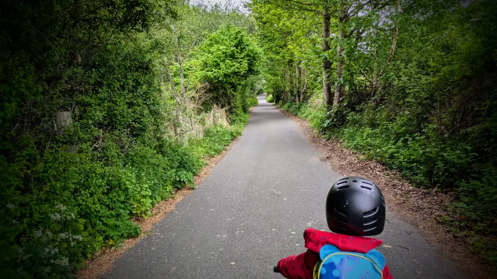 A country road stretches off into the sunny, leafy distance as my little boy cycles his favourite route home from school